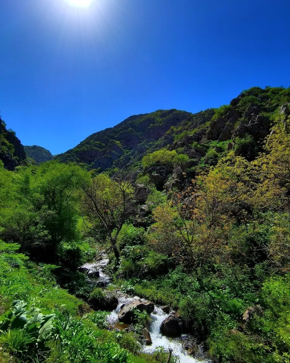 A narrow gorge between rocky peaks with trees turning yellow