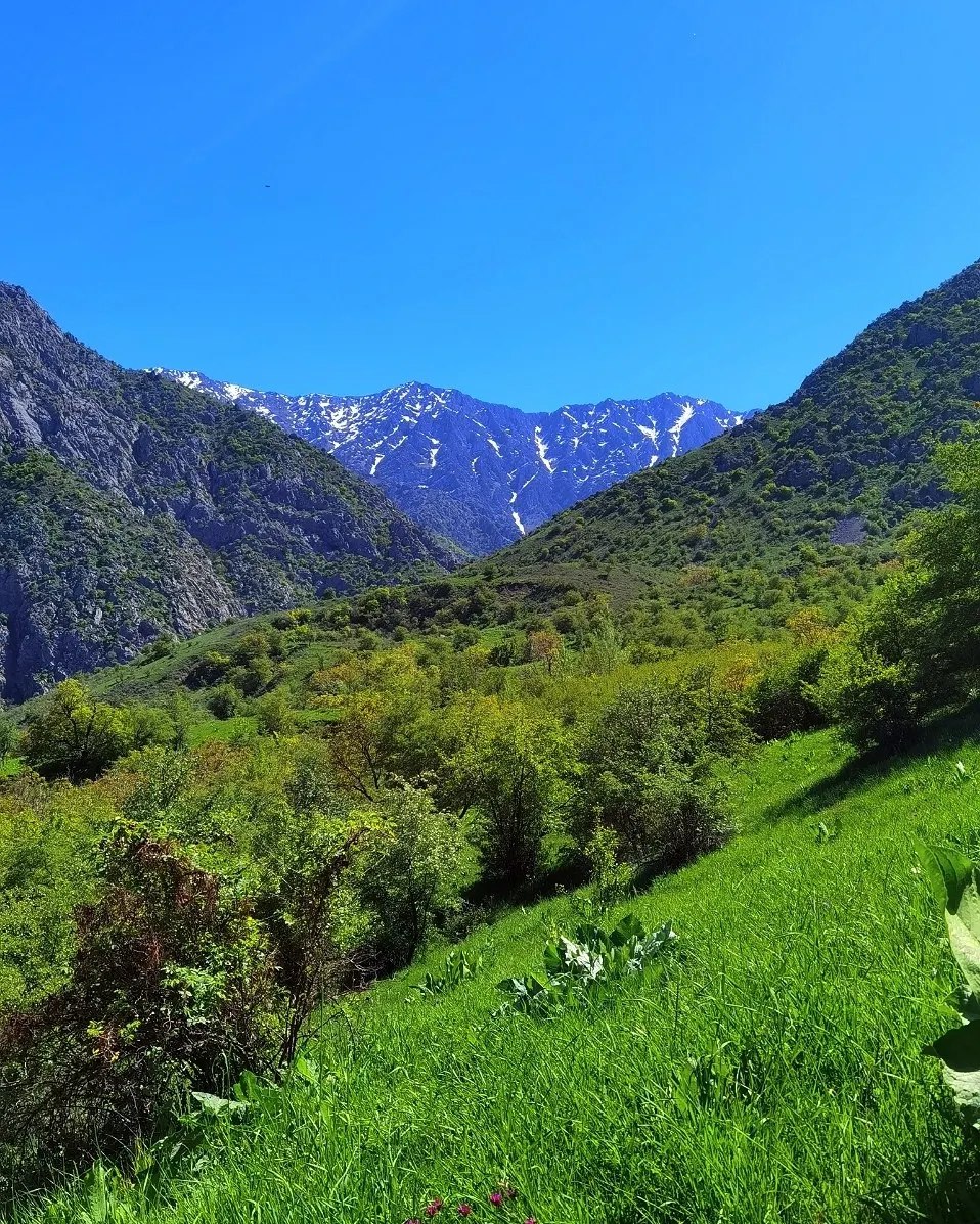 A paved road running through a green valley toward the mountains