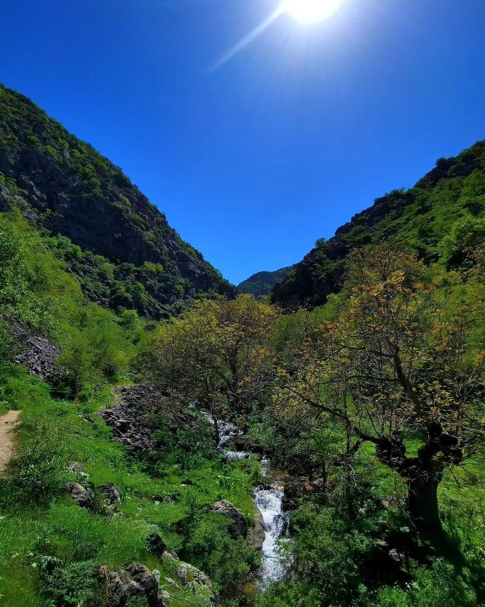 A rocky cliffside overlooking a green valley and snow-streaked peaks
