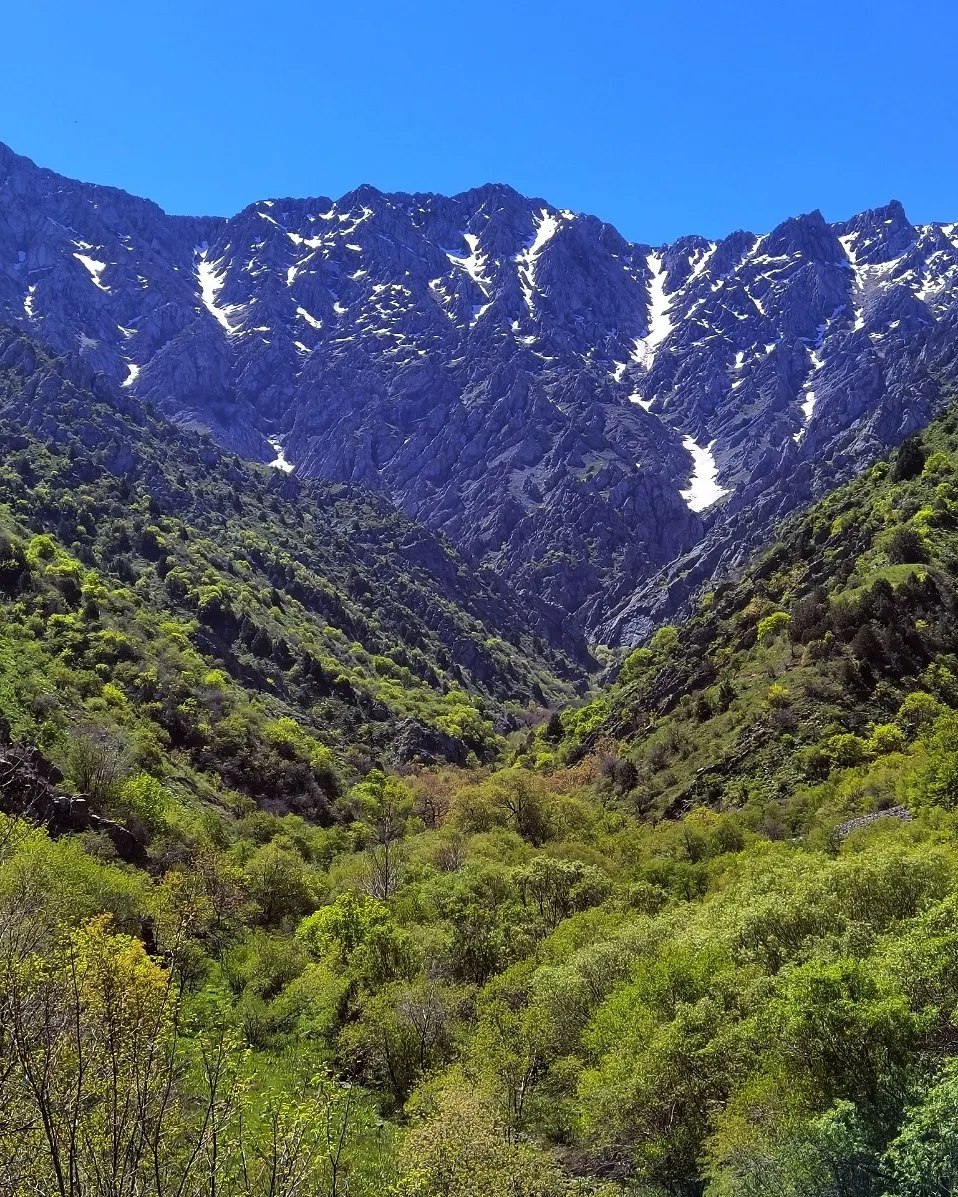 Sunlight over a stream winding through a green mountain valley