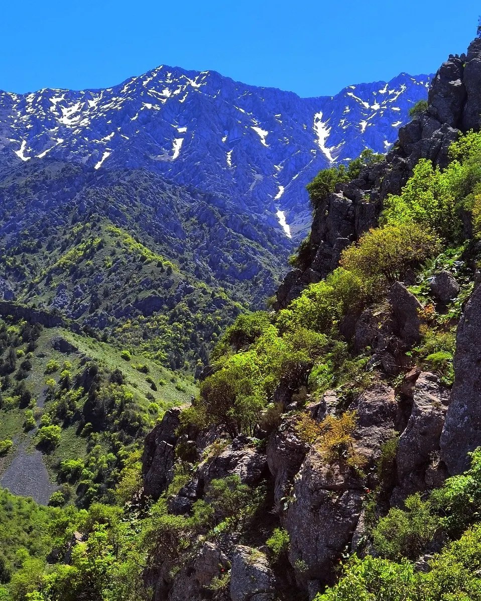 A steep, snow-streaked mountain ridge above a green forested valley