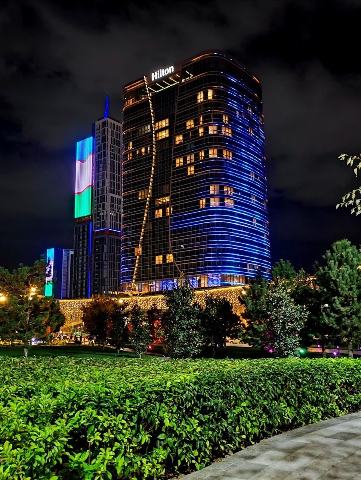 The Hilton tower lit up in blue at night, seen through a hedge